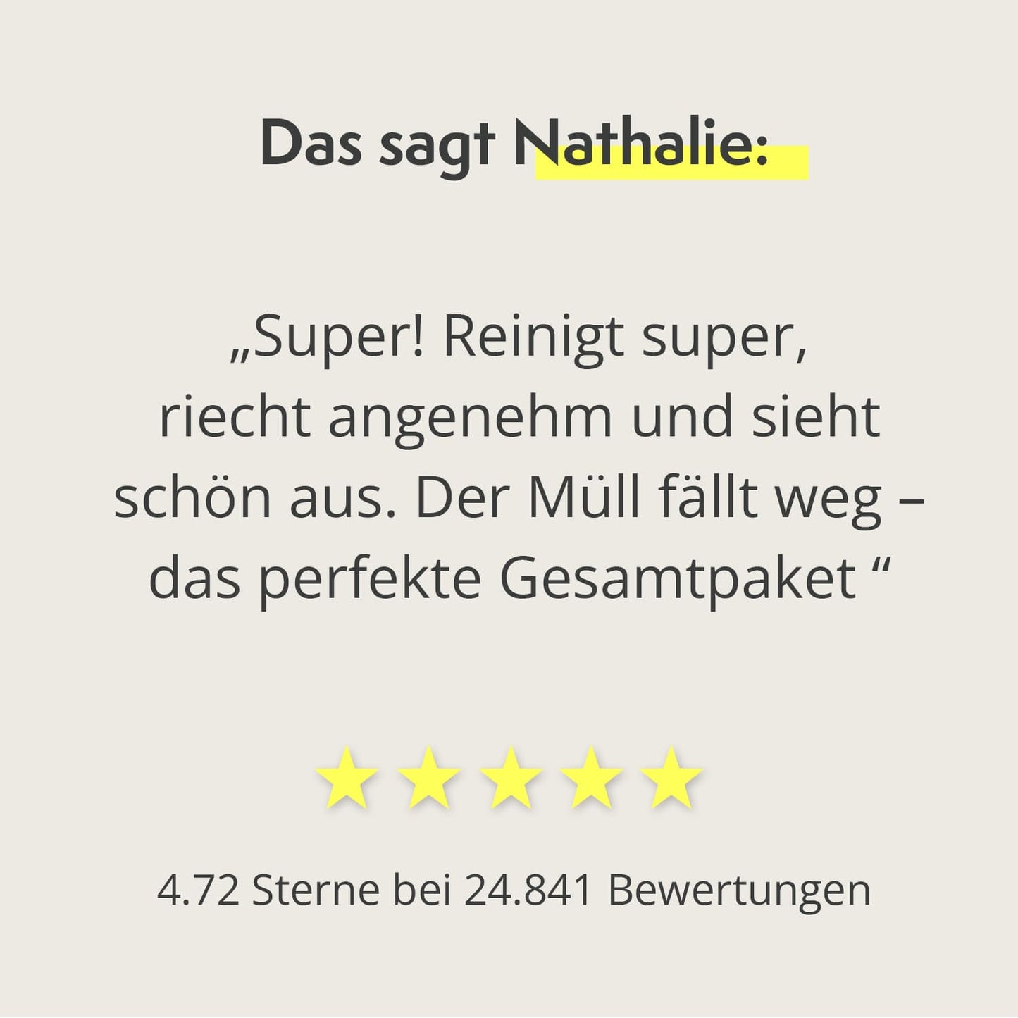 Bodenreiniger-Pulver